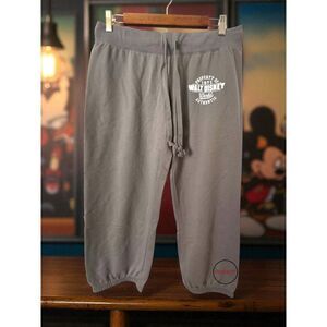Walt Disney World Jogger Capri Pants Relaxed Fit Gray Small
